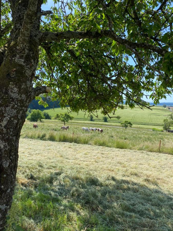 An Der Walnuss Leilighet Feilsdorf Eksteriør bilde